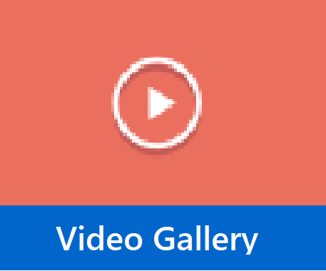 Video Gallery