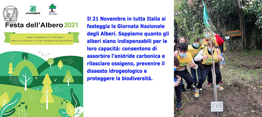 17--Festa-dellalbero