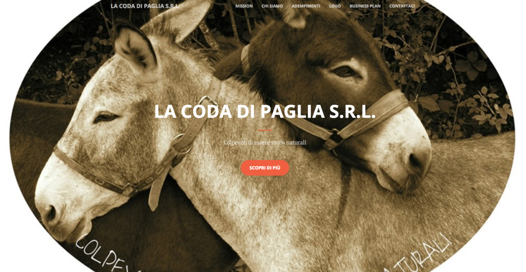 LA CODA DI PAGLIA S.R.L